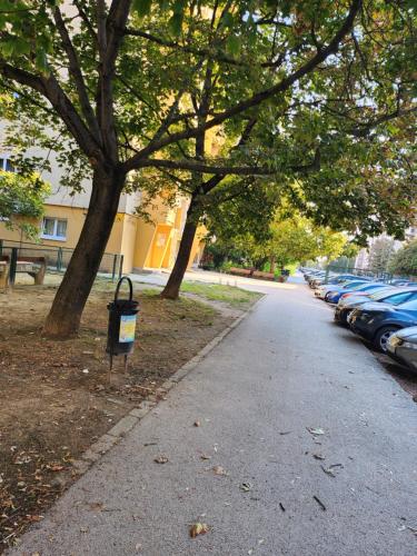 a parking lot with a parking meter next to a tree at LIZO Deluxe apartman in Székesfehérvár