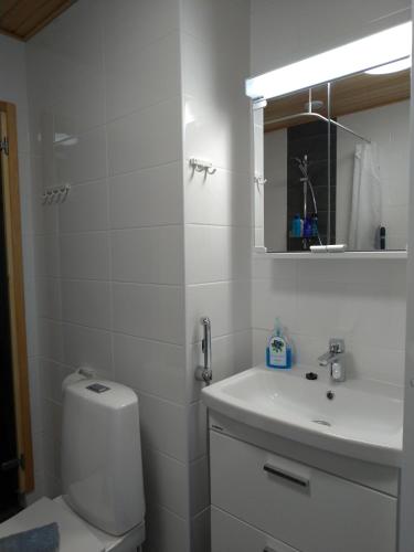 a bathroom with a toilet and a sink and a mirror at City Apartments in Jyväskylä