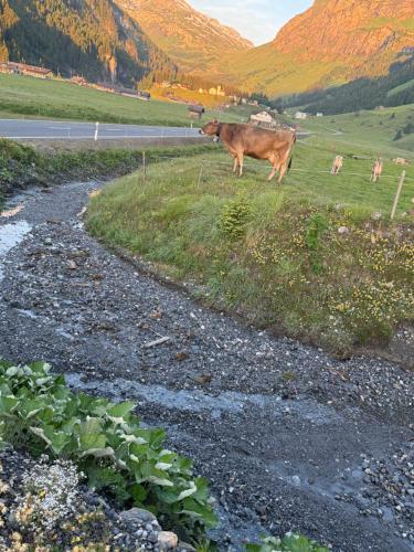 UrnerbodenにあるKlausen Ranchのギャラリーの写真