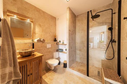 a bathroom with a shower and a toilet and a sink at Oasis T2 avec terrasse en bord de mer in Saint-Pierre