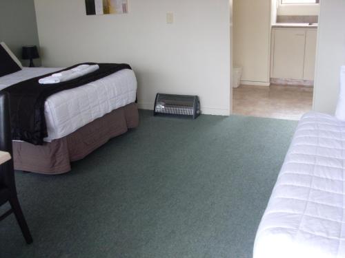 a bedroom with two beds and a green carpet at Motel 22 in Lower Hutt