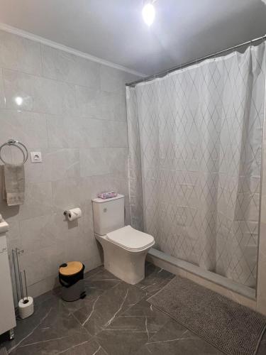 a bathroom with a toilet and a shower curtain at The Captain's Nest in Sparti