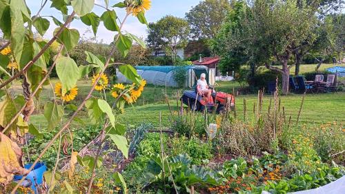 a person riding a tractor in a garden at Domaine de la cure in Curgy