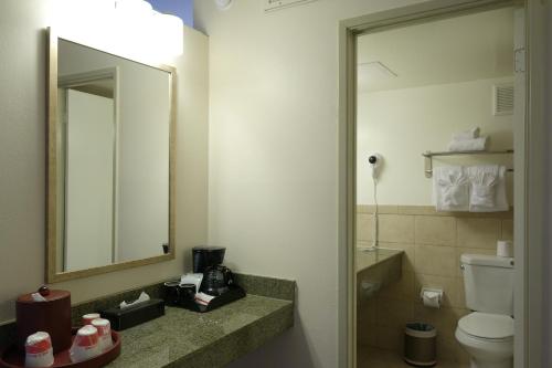 a bathroom with a sink and a mirror and a toilet at Ramada by Wyndham Sacramento in Sacramento