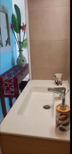a kitchen sink with a faucet on a counter at L'appartement de la plage in Le Diamant