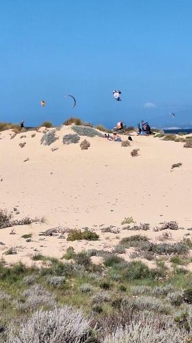 a group of people flying kites on a beach at L'angolo di Jana in Porto Pollo