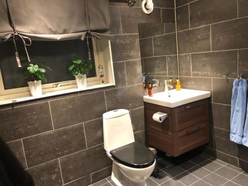 a bathroom with a toilet and a sink at Louise guesthouse in Lindome