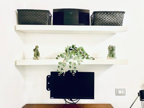 Cozy Flat near the Vatican!