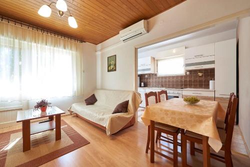 Apartment and Rooms Ivo