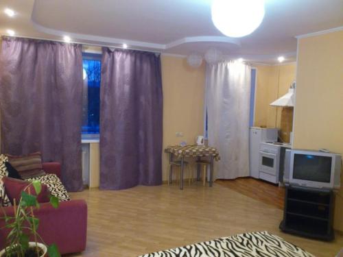 ノヴォシビルスクにあるApartments na Ploshchad Marksaのリビングルーム(紫色のカーテン、テレビ付)