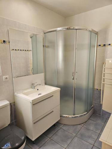 une salle de bain avec douche et lavabo dans l'établissement Gîte La résidence n°1, à Bauduen