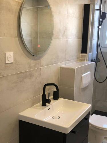une salle de bain avec un lavabo et un miroir dans l'établissement Le Morison Bonnefoy - T2 - Parking - Proche Gare, à Toulouse