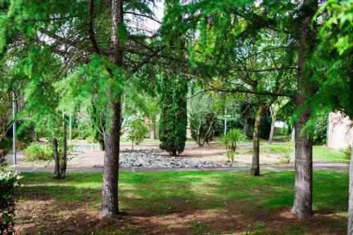 un groupe d'arbres dans un parc avec un chemin dans l'établissement Le Zen Météo France - Studio Tout Confort - Métro, à Toulouse