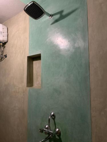 a bathroom with a green wall and a shower with a fan at Paradise by Elementzz in Kottakupam