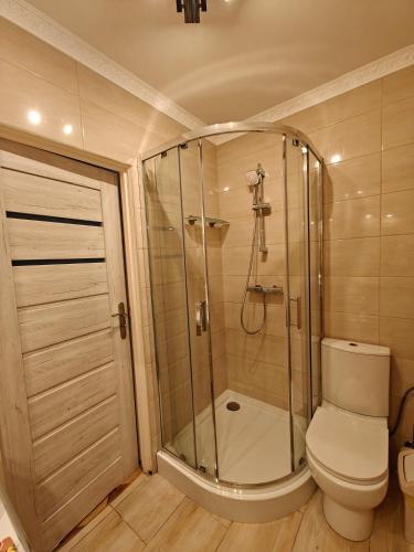 a bathroom with a shower and a toilet at Willa Rybacka in Krynica Morska