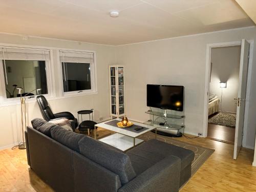 a living room with a couch and a tv at Fredelig leilighet med utsiktsplass til nordlys in Tromsø