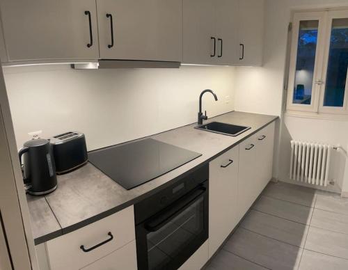 a kitchen with a sink and a counter top at Casa Enrica - bilocale a Solduno con giardino in Solduno
