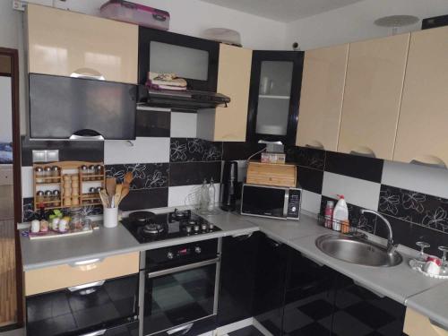 Kuchyň nebo kuchyňský kout v ubytování Apartmán Hanka