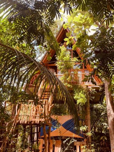 a building with a bunch of trees in front of it at Angry Birds Tree house in Habarana