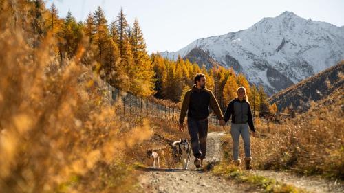 a man and a woman walking a dog on a dirt road at Agriturismo Plan de la Tour B&B in Cogne