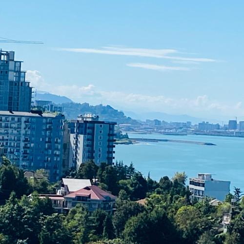 a view of a city with buildings and a body of water at green house in Batumi