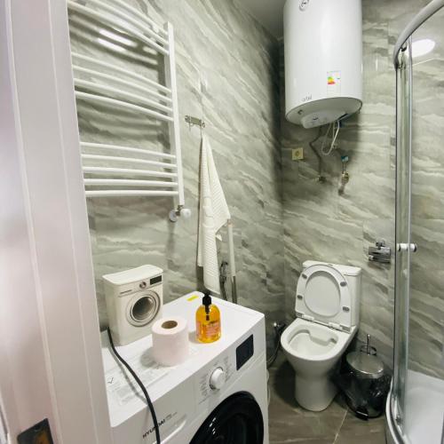 a small bathroom with a toilet and a shower at green house in Batumi
