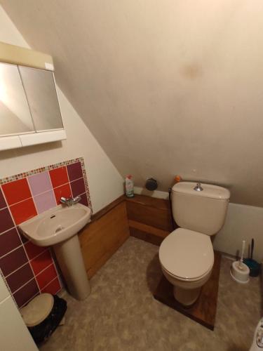 une petite salle de bain avec toilettes et lavabo dans l'établissement maison rénovée traditionnelle en chaume, à Kervignac