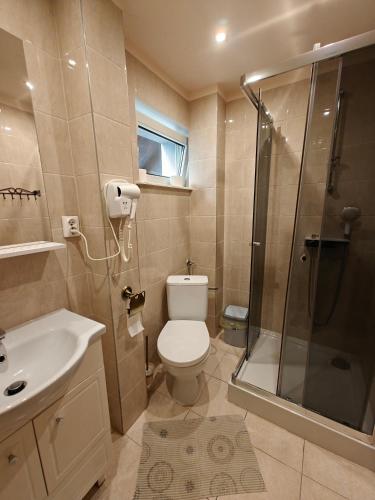 a bathroom with a toilet and a shower and a sink at Willa Rybacka in Krynica Morska