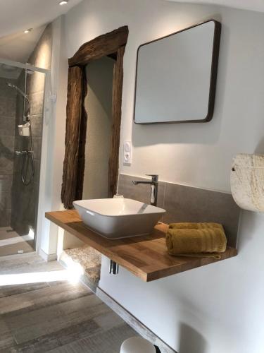 a bathroom with a sink and a mirror on a wall at Le Gîte de Marie in Saint-Front-la-Rivière
