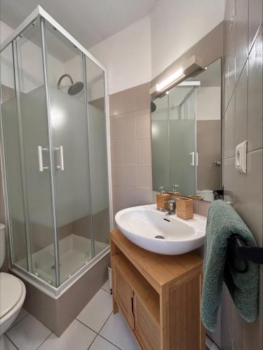 une salle de bain avec un lavabo et une douche dans l'établissement Évasion bord de mer Studio à 50m de la plage, à Saint-Brévin-les-Pins