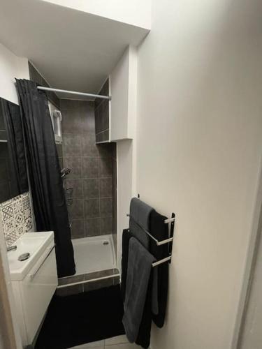 une salle de bain avec un lavabo, des toilettes et une douche dans l'établissement Bel appartement Béziers - Clim - 1 Chambre - Gare - Centre, à Béziers
