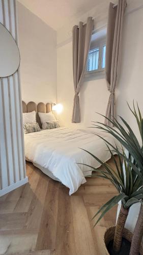 Appartement Haussmannien Gare Centre-ville Clim