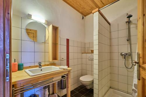 a bathroom with a sink and a toilet and a mirror at Chalet il fera beau demain in Villard-Reculas