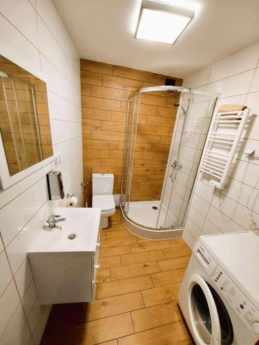 a bathroom with a shower and a sink and a washing machine at AE BERG Apartamenty in Ujazd