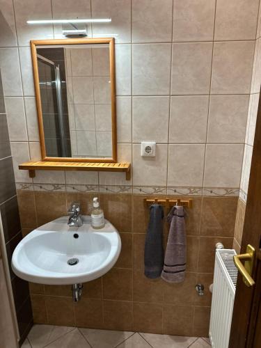a bathroom with a sink and a mirror and towels at Partapartman in Gyula