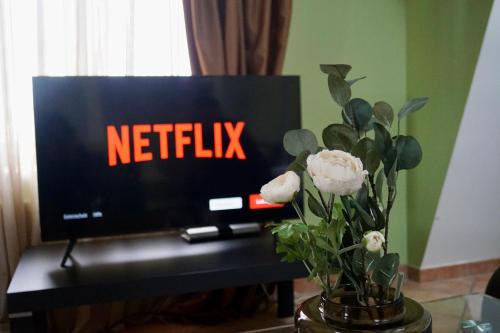 a tv with a netflix sign on it with flowers at Ferienwohnung 1 beim Restaurant Rhodos in Heide