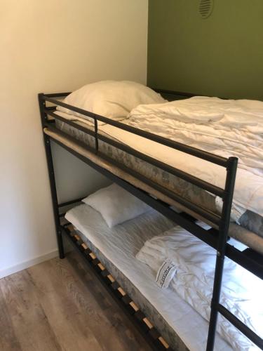 a couple of bunk beds in a room at Sari in Steendam