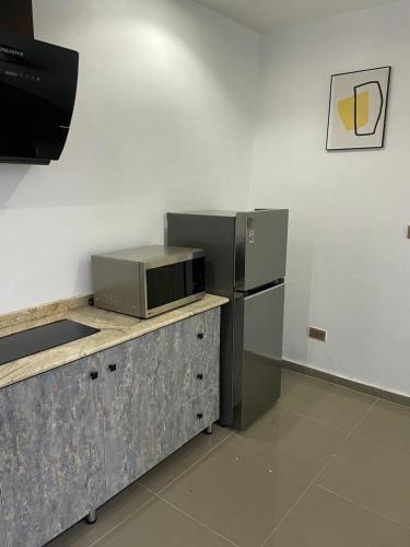 a kitchen with a refrigerator and a microwave on a counter at Wine House, Maitama, Abuja in Abuja