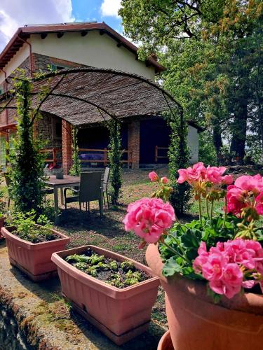 Zahrada ubytování La Quercia e il Castagno Country & Relax