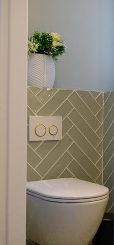 a bathroom with a toilet with a plant on top of it at The Zorbas Apartments in Mytilini