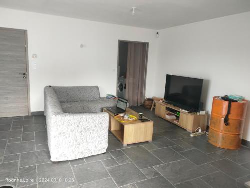 un salon avec un canapé et une télévision dans l'établissement Chambre dans maison plain-pied moderne, à Roanne
