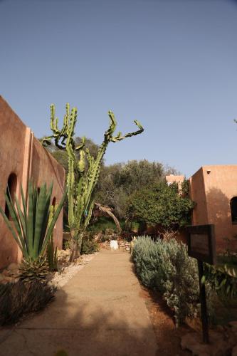 a pathway in a garden with cactuses and plants at Paradis Nomade in Azrarag