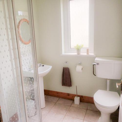 a bathroom with a toilet and a sink and a window at Seamount Holiday Village No 26 by Trident Holiday Homes in Courtown