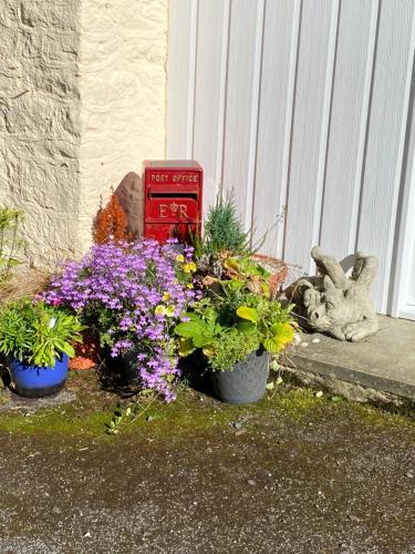 a group of flowers in pots next to a mailbox at Beautiful renovated former coach house in Llandeilo