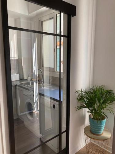 une cuisine avec un lave-linge et une plante en pot dans l'établissement Beautiful flat Nice French Riviera 2min beach Negresco, à Nice