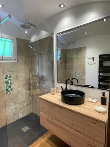 une salle de bain avec un lavabo et une douche dans l'établissement Villa Aquarelle, à La Garonnette-Plage