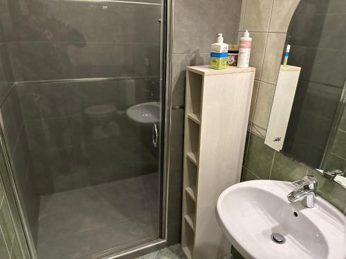 a bathroom with a shower and a sink at Partapartman in Gyula