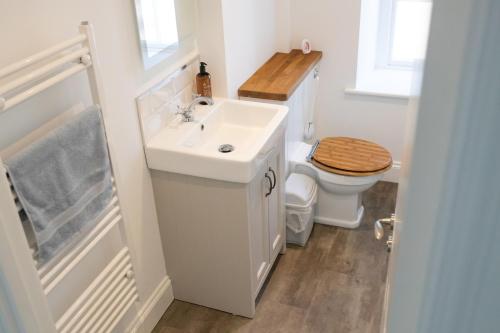 un bagno con un lavandino bianco e un water di No.9 Priory House, Bodmin a Bodmin