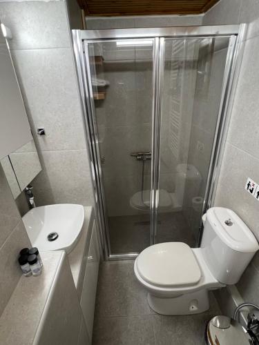 a bathroom with a shower and a toilet and a sink at Oiti Mountain Apartments in Pávliani