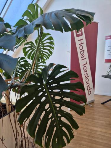 a green plant in a room with a sign at Hotel Torslanda in Torslanda